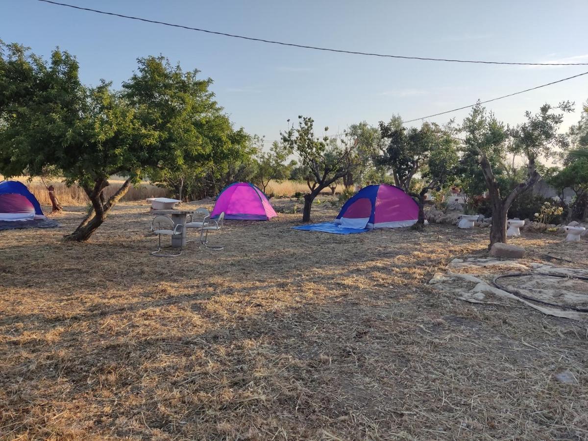 Aree Tende Presso La Casa In Campagna Di Ottavia Ξενοδοχείο Alezio Εξωτερικό φωτογραφία
