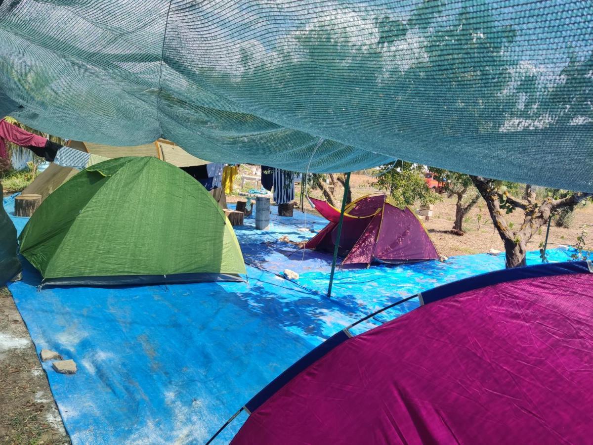 Aree Tende Presso La Casa In Campagna Di Ottavia Ξενοδοχείο Alezio Εξωτερικό φωτογραφία